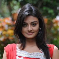 Nikitha Narayan New Pictures | Picture 68867